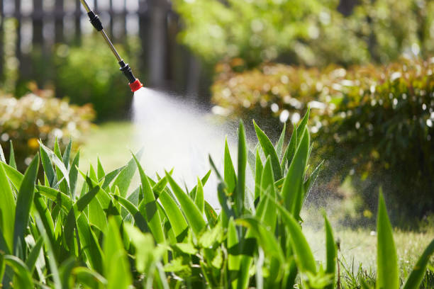 24/7 Emergency Mosquito Control experts in Elkhorn, WI